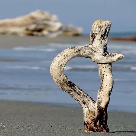 Lägenhet Campo Vecchio Kamerops Et Piscine *