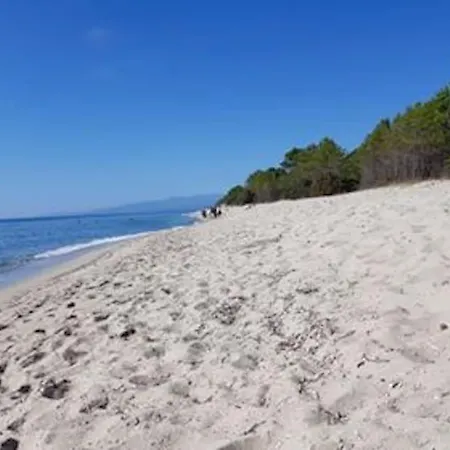 Campo Vecchio Kamerops Et Piscine Ghisonaccia