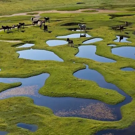 Apartment Campo Vecchio Kamerops Et Piscine *