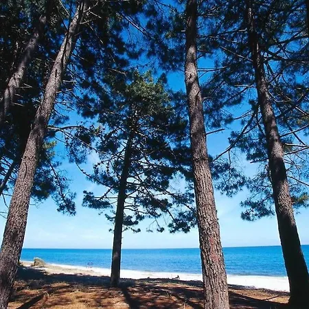 Campo Vecchio Kamerops Et Piscine * Ghisonaccia